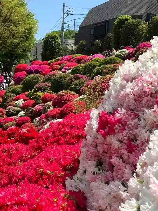 根津神社(東京都)