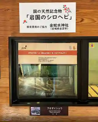 金蛇水神社(宮城県)