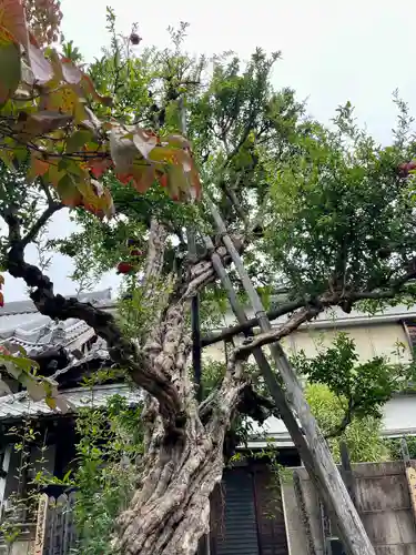 長安寺(東京都)