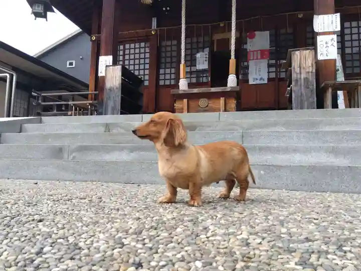 杉杜白髭神社(福井県)