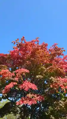 相馬神社(北海道)