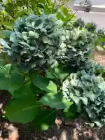 愛宕神社(群馬県)