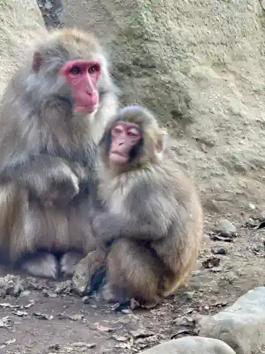 高尾山薬王院(東京都)