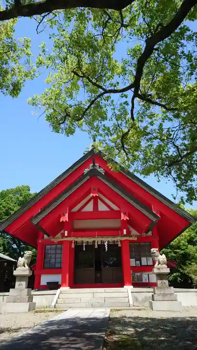 住吉神社(下津住吉町)の本殿・本堂