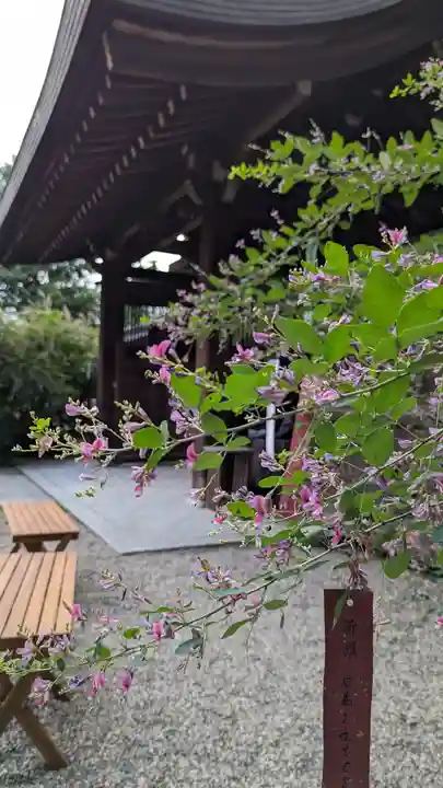 梨木神社(京都府)
