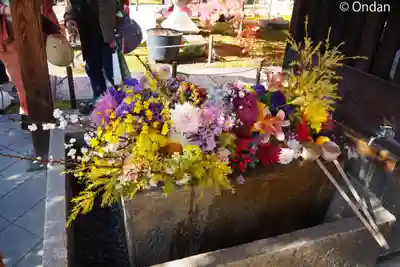 勝林寺(京都府)