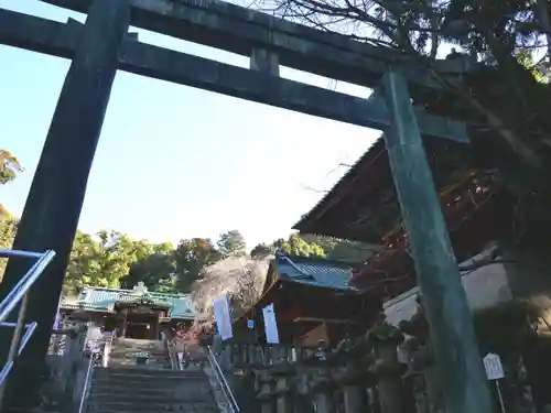 久能山東照宮の鳥居