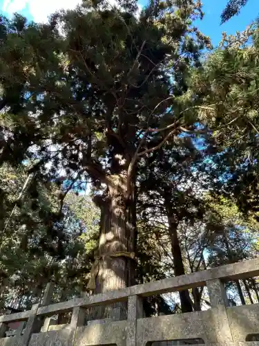 大御食神社(長野県)