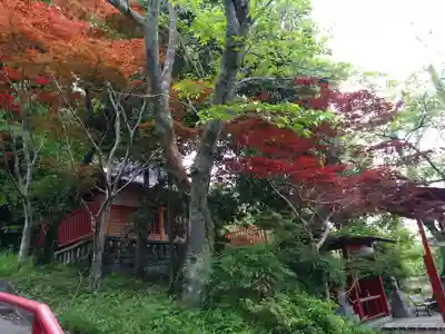 岩水寺(静岡県)