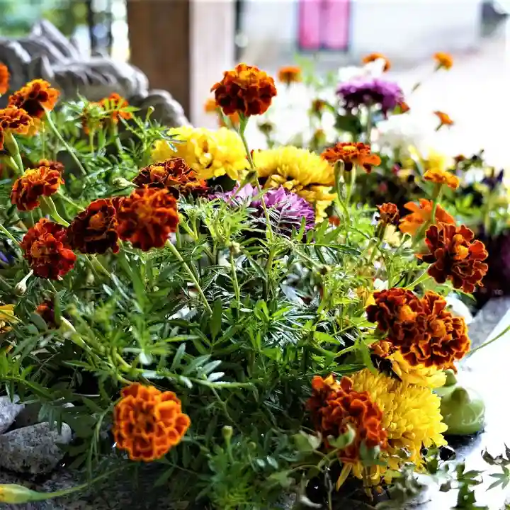 滑川神社 - 仕事と子どもの守り神の手水舎
