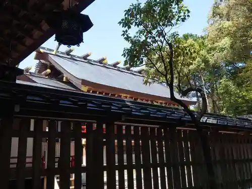 猿田彦神社の本殿・本堂