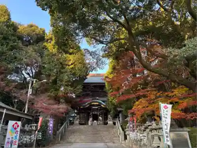 花岡八幡宮(山口県)