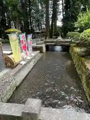 北口本宮冨士浅間神社の自然