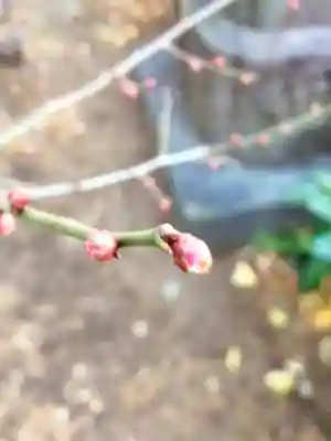 成子天神社(東京都)