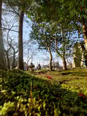 高台寺（高台寿聖禅寺・高臺寺）の{uncategorized: "未分類", other: "その他", undefined: "問題あり", building: "その他建物", grave: "お墓", sacred_gate: "鳥居", guardian: "狛犬", statue: "像", buddha: "仏像", history: "歴史", nature: "自然", garden: "庭園", animal: "動物", pagoda: "塔", temizu: "手水舎", mountain_gate: "山門・神門", sanctuary: "本殿・本堂", subordinate: "末社・摂社", art: "芸術", scenery: "景色", jizo: "地蔵", ema: "絵馬", goshuin: "御朱印", omikuji: "おみくじ", items: "授与品その他", amulet: "お守り", goshuincho: "御朱印帳", eats: "食事", festival: "お祭り", votive_dance: "神楽", shichigosan: "七五三参", wedding: "結婚式", experience: "体験その他", initially: "初詣", around: "周辺", anti_infection: "感染症対策"}