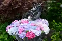 成就院の手水舎