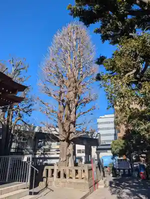 大鳥神社(東京都)