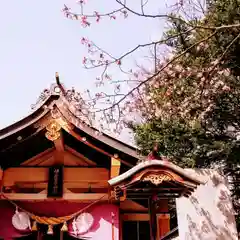 彌彦神社　(伊夜日子神社)(北海道)