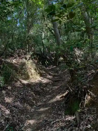 浅間神社の自然