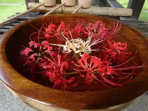 横浜　西方寺の手水舎