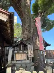 田光八幡社(愛知県)