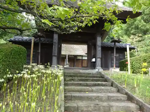 横浜　西方寺の山門