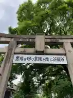 安井金比羅宮の鳥居