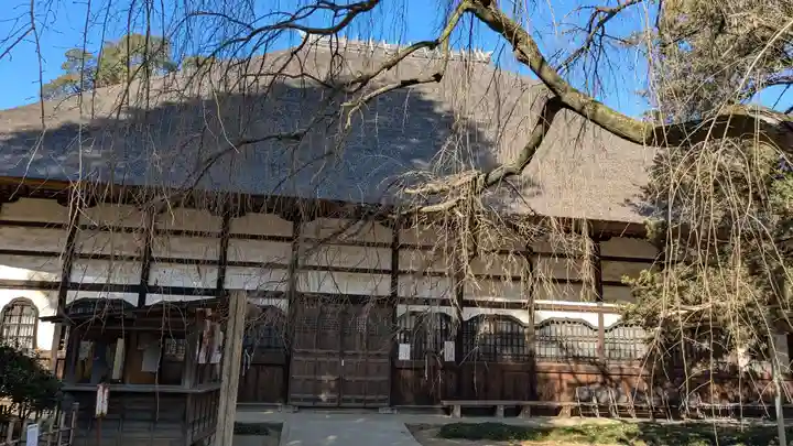 茂林寺の本殿・本堂