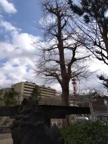 福井神社(福井県)
