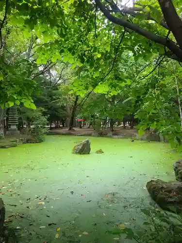 帯廣神社の庭園