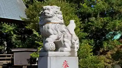 鷲神社の狛犬