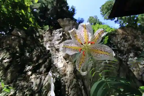 鹿島大神宮の庭園