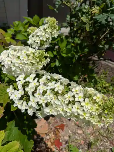 （芝生）浅間神社(神奈川県)
