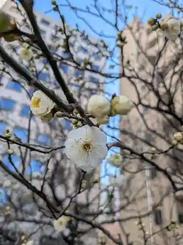 銀世界稲荷神社(東京都)