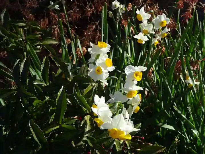 横浜 西方寺の自然
