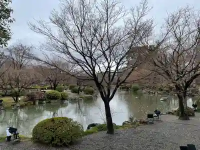 東寺（教王護国寺）(京都府)