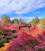 東福禅寺(東福寺)(京都府)