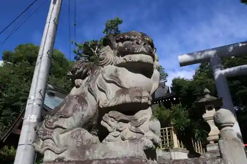 安積國造神社の狛犬