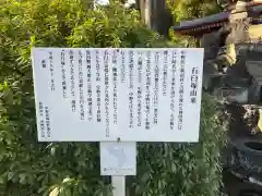 宝仙寺の歴史