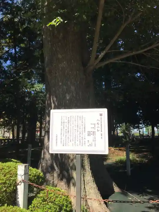 深見神社(神奈川県)