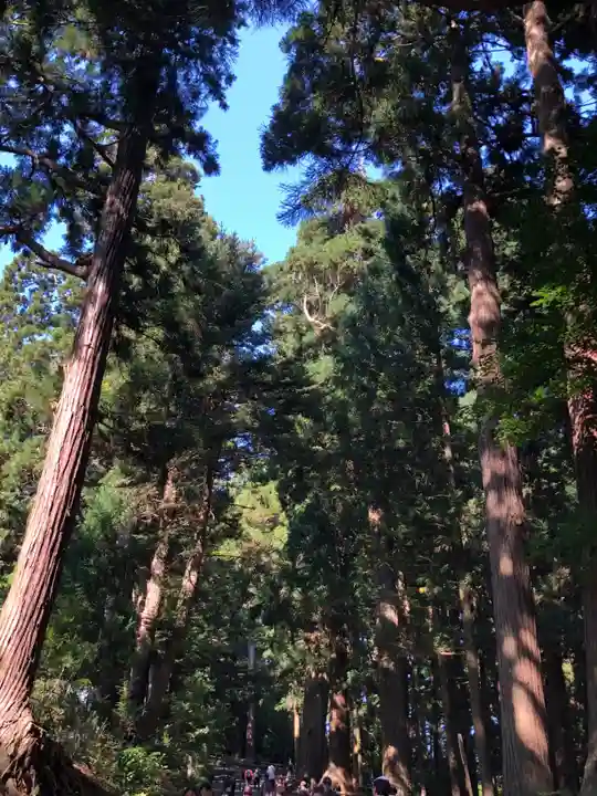 中尊寺(岩手県)