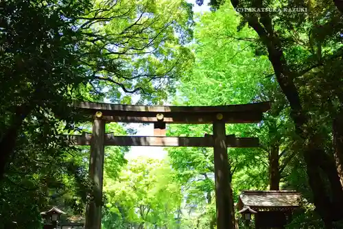 明治神宮(東京都)