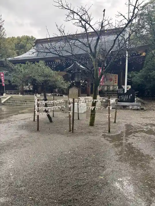 菊池神社(熊本県)
