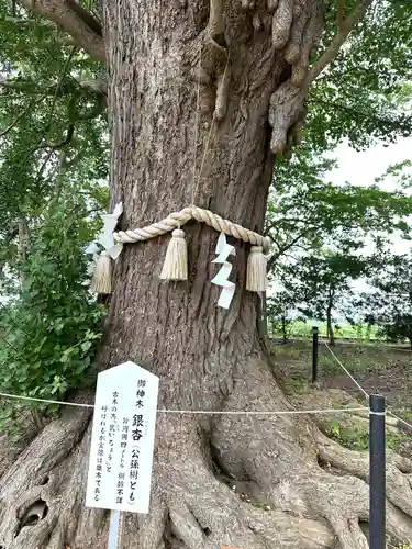 白子神社(千葉県)