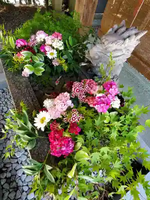 滑川神社 - 仕事と子どもの守り神の手水舎