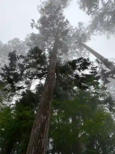 三峯神社(埼玉県)