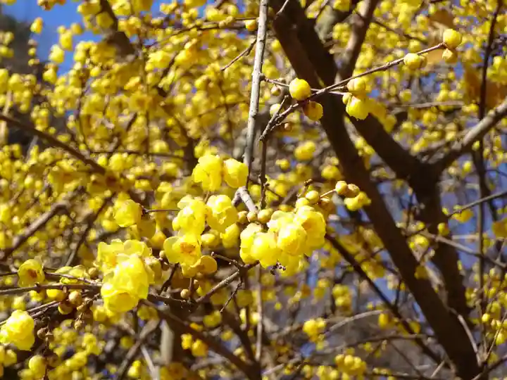 阿邪訶根神社の自然