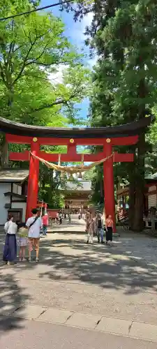 伊佐須美神社の{uncategorized: "未分類", other: "その他", undefined: "問題あり", building: "その他建物", grave: "お墓", sacred_gate: "鳥居", guardian: "狛犬", statue: "像", buddha: "仏像", history: "歴史", nature: "自然", garden: "庭園", animal: "動物", pagoda: "塔", temizu: "手水舎", mountain_gate: "山門・神門", sanctuary: "本殿・本堂", subordinate: "末社・摂社", art: "芸術", scenery: "景色", jizo: "地蔵", ema: "絵馬", goshuin: "御朱印", omikuji: "おみくじ", items: "授与品その他", amulet: "お守り", goshuincho: "御朱印帳", eats: "食事", festival: "お祭り", votive_dance: "神楽", shichigosan: "七五三参", wedding: "結婚式", experience: "体験その他", initially: "初詣", around: "周辺", anti_infection: "感染症対策"}