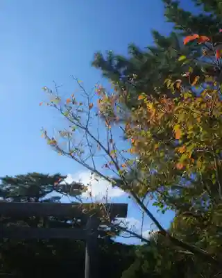 伊勢神宮内宮（皇大神宮）(三重県)