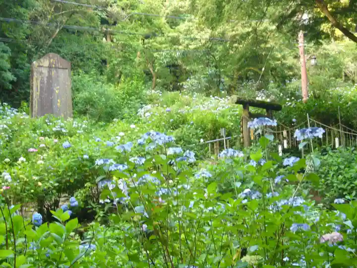 太平山神社の自然